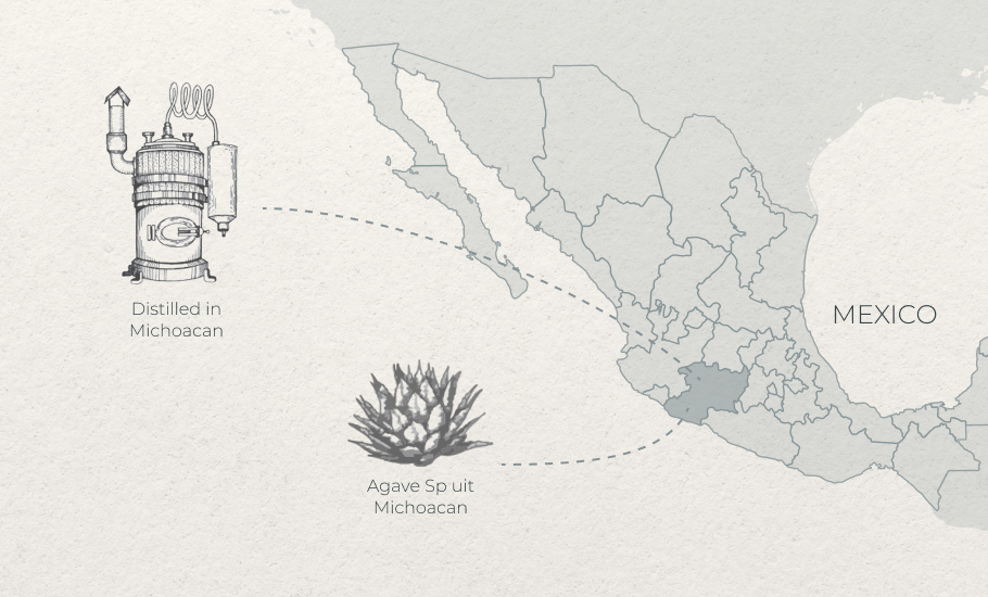 NL Agave Sp from Michoacan Distilled in Michoacan